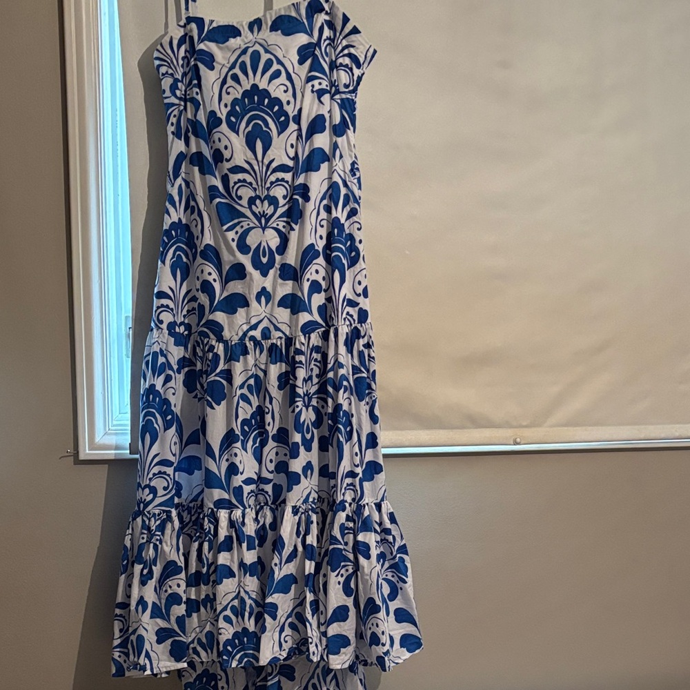 Ann Taylor Factory Floral Blue and White Maxi Dress